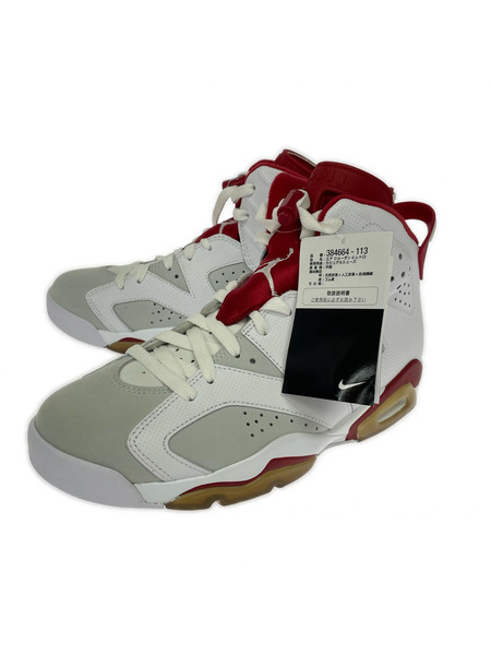 NIKE スニーカー AIR JORDAN 6 RETRO