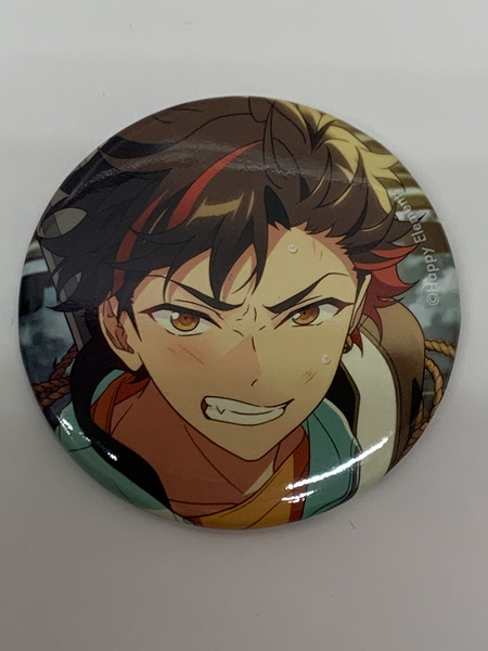 あんスタ 缶バッジ 南雲鉄虎 コレクション缶バッジ 2024 Sep. Casual Side 69点セット 本体のみ あんさんぶるスターズ！！ なぐもてとら 流星隊
