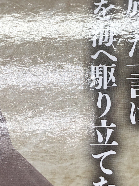 一番くじ ワンピース ロジャー海賊団　ラストワン