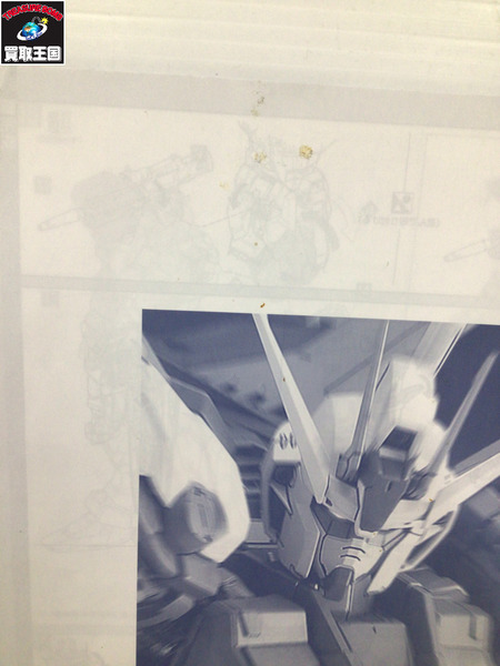 ガンプラ 1/60 PG MBF-02 ストライクルージュ+スカイグラスパー