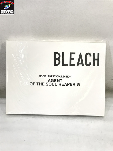 BLEACH 死神代行篇 DVDセット ブリーチ 開封