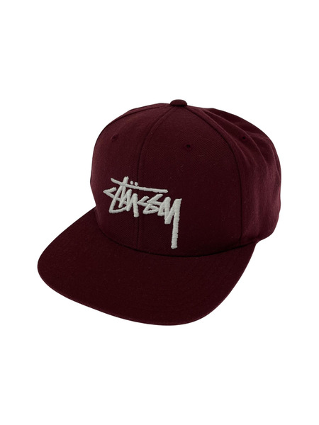 STUSSY/6パネルキャップ/BRD