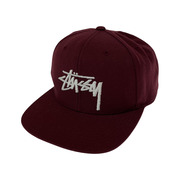 STUSSY/6パネルキャップ/BRD