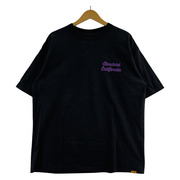 STANDARD CALIFORNIA SD Heavyweight Script Logo T/HWT/XL