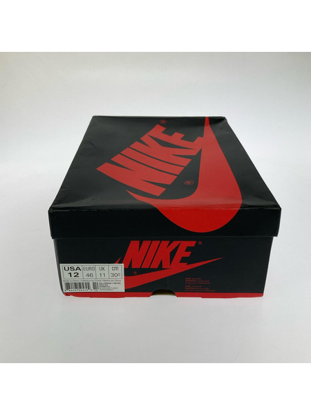 NIKE スニーカー Air Jordan 1 Retro High Shadow(30㎝)