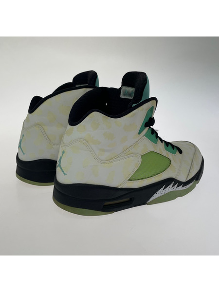 NIKE スニーカー Air Jordan 5