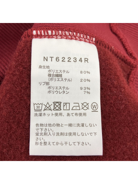 THE NORTH FACE STANDARD POパーカー S