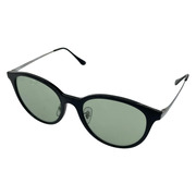Ray-Ban ソノ他 サングラス