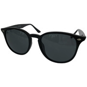 Ray-Ban サングラス RB4259-F