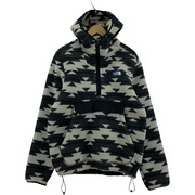 THE NORTH FACE CAMPSHIRE PULLOVER HOODIE (S) グレー ネイティブ