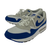 NIKE スニーカー DO9844-101 29cm 白