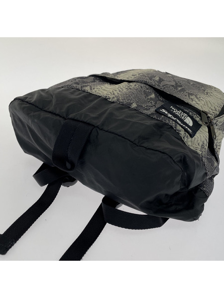 Supreme THE NORTH FACE Snakeskin Lightweight Day BackPack