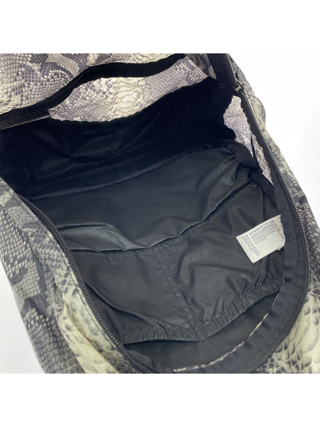 Supreme THE NORTH FACE Snakeskin Lightweight Day BackPack