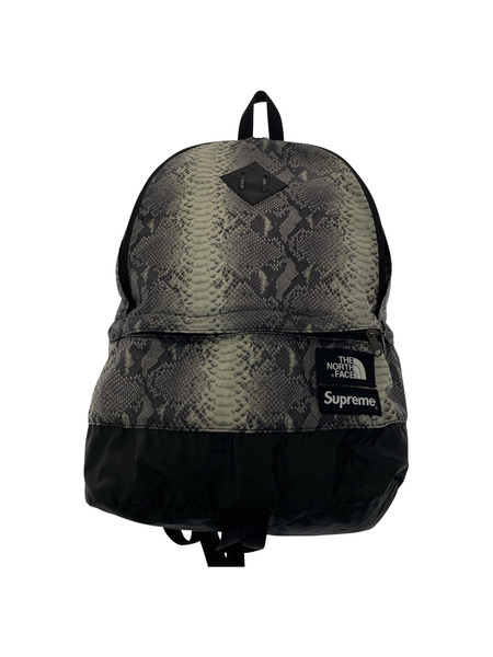 Supreme THE NORTH FACE Snakeskin Lightweight Day BackPack