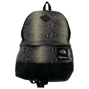 Supreme THE NORTH FACE Snakeskin Lightweight Day BackPack