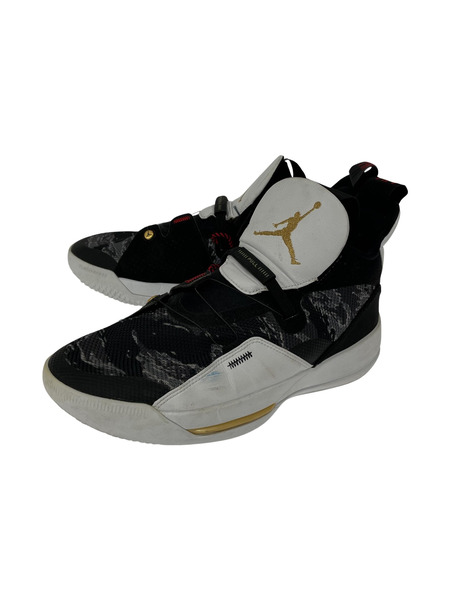 NIKE AIR JORDAN 33 PF