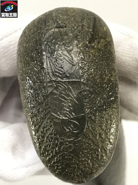 ロッド フェザーウェイト　チャンピオン　ラバーグリップ