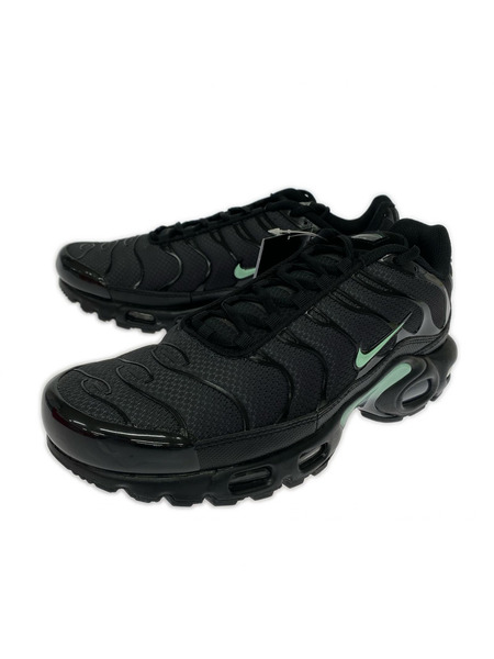 NIKE スニーカー AIR MAX PLUS (27.5)