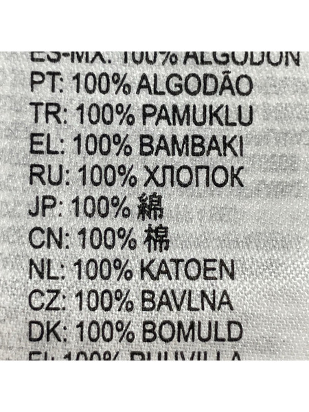 DIESEL 半袖Tシャツ・カットソー プリントS/S Tee 白