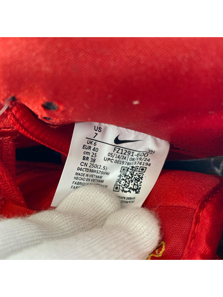 NIKE SB The Wizard of Oz Dunk Low PoppyField FZ1291-600