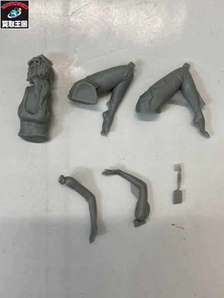 ジルプラ 1/20 ジェード