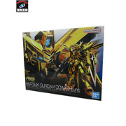 ガンプラ RG 1/144 アカツキガンダム(オオワシ装備)