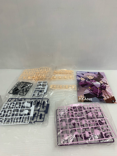 劇場総集編『SSSS.GRIDMAN』 新条アカネ 可動プラスチックモデルキット