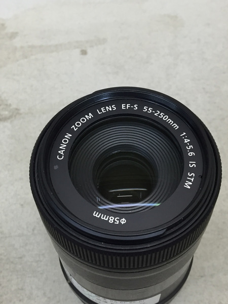 Canon ZOOM LENS EF-S 55-250mm