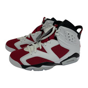 NIKE AIR JORDAN 6 RETRO CARMINE 28.0cm CT8529-106