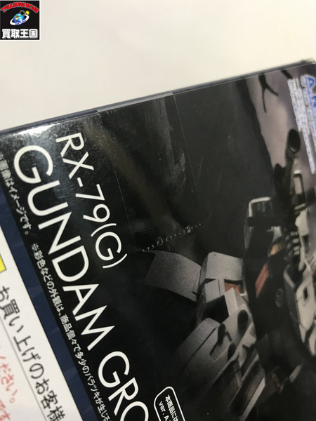 ガンダム ROBOT魂 RX-79(G) 陸戦型ガンダム ver. A.N.I.M.E.