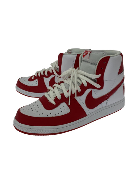 NIKE TERMINATOR HIGH (30cm) FJ4454-100