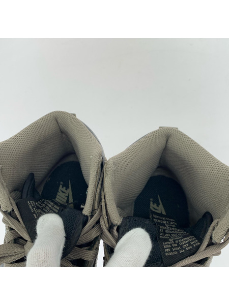 NIKE スニーカー Women's Dunk High/DD1869-002 (24.5)