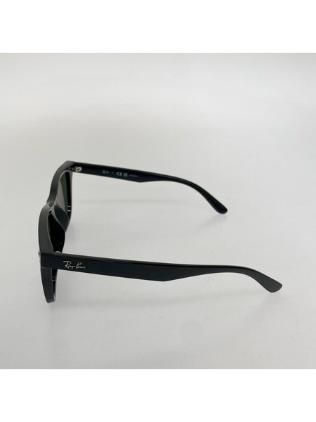 Ray-Ban ソノ他 RB4391D