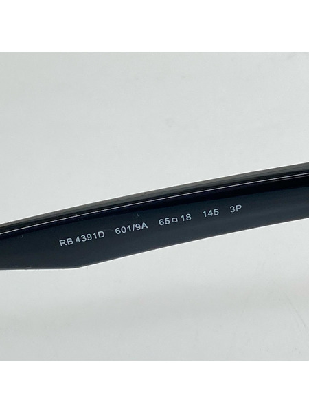 Ray-Ban ソノ他 RB4391D