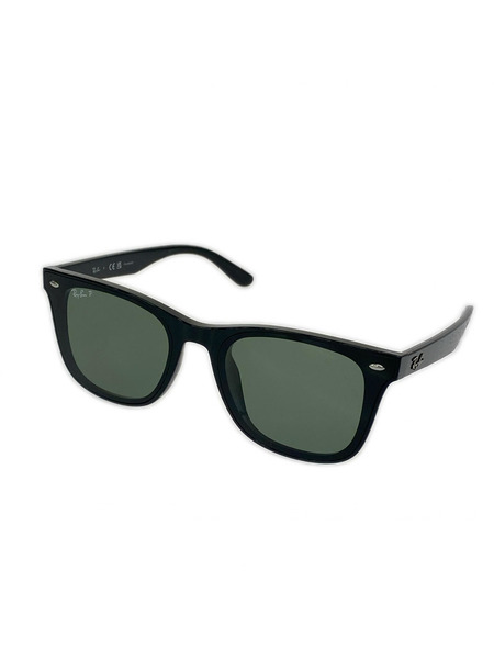 Ray-Ban ソノ他 RB4391D