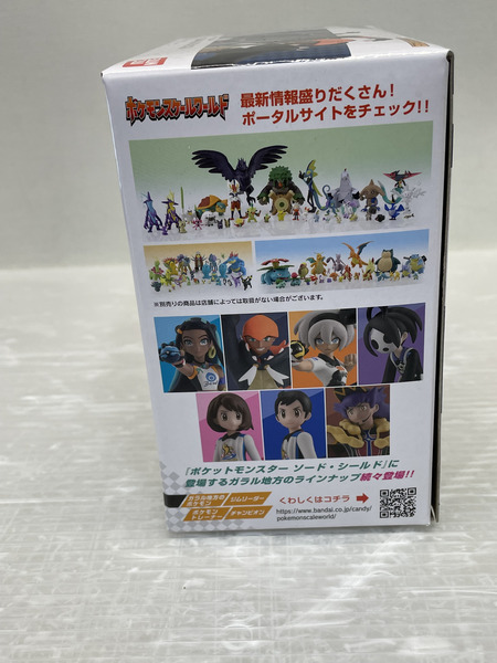 BANDAI  ポケモン スケールワールド  キバナ＆ジュラルドン