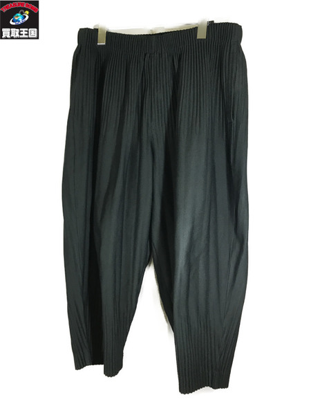ISSEY MIYAKE HOMME PLISSE 16AW プリーツパンツ