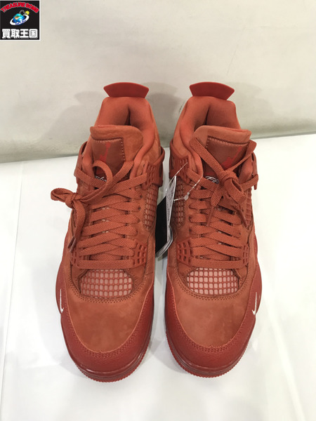 NIKE Nigel Sylvester AIR JORDAN 4 BIKE size27