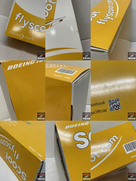 Boeing 787-9 Scoot 1/200 SCOOT