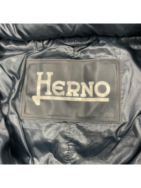 HERNO ダウンジャケット Ｐ10031Ｄ/NVY/40