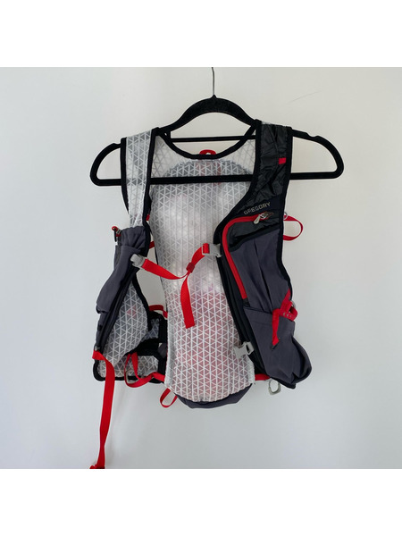 GREGORY リュックサック・バックパック RUFOUS 8 バックパック