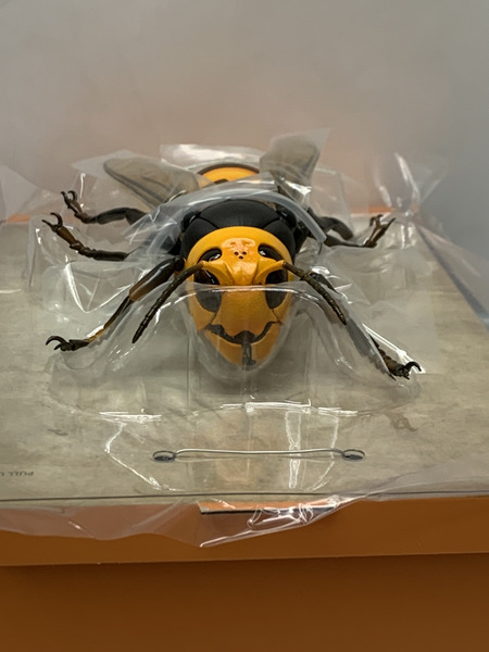 海洋堂 リボジオ オオスズメバチ 開封品 KAIYODO REVOGEO リボルテック ジオ 全地球立体生物目録 節足動物 大雀蜂 