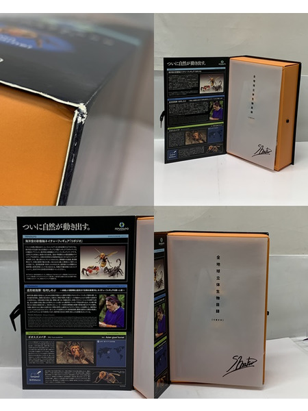 海洋堂 リボジオ オオスズメバチ 開封品 KAIYODO REVOGEO リボルテック ジオ 全地球立体生物目録 節足動物 大雀蜂 