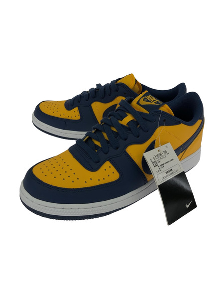 NIKE　Terminator Low　Michigan（27.5cm)