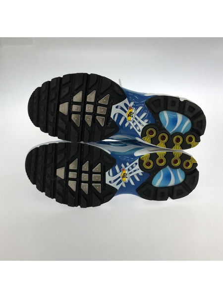 NIKE AIR MAX PLUS スニーカー