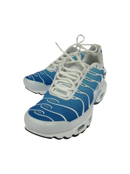 NIKE AIR MAX PLUS スニーカー