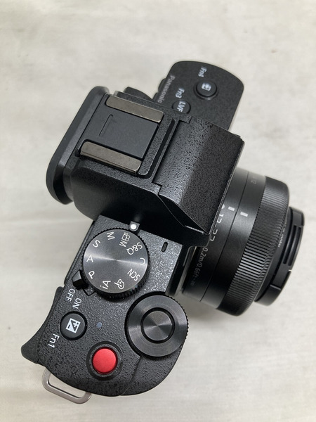 デジタルカメラ DC-G100DW LUMIX カメラ