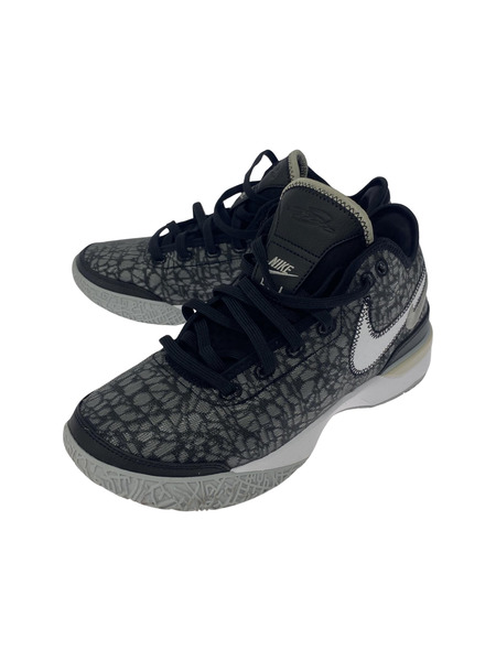 NIKE　DR8788-005　LEBRON NXXT GEN EP　27.0[値下]