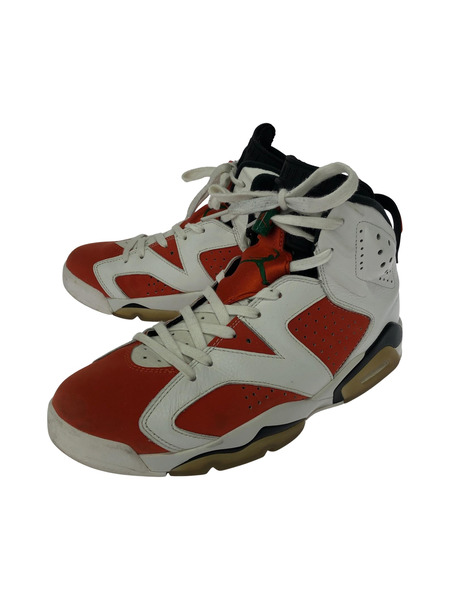 NIKE スニーカー AIR JORDAN 6 RETRO GATORADE (28.0)