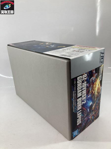 ガンプラ HG 1/144 ガンダムバーンレプオス プラモデル